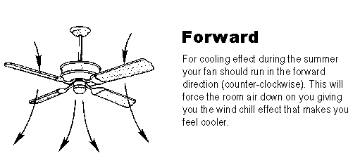 What Direction Should Your Ceiling Fan Spin in Summer and Winter?