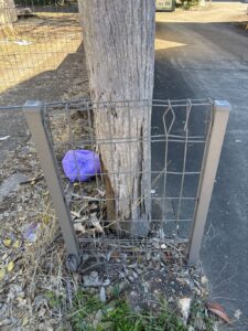 Defected property pole in Booval requiring replacement following an Energex compliance notice