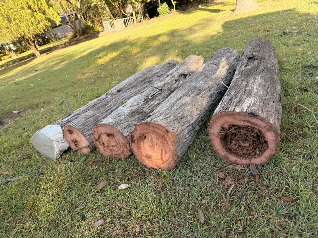 Cut sections of a rotten timber property pole removed from a Kenmore property