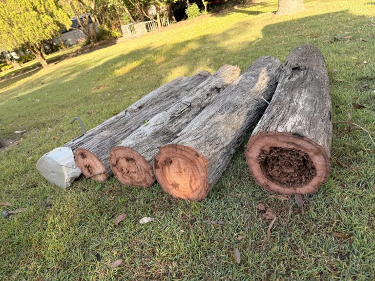 Sections of a collapsed timber power pole after an emergency replacement in Kenmore
