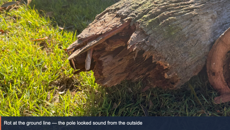 Rotted base of a collapsed private power pole removed from a Kenmore property