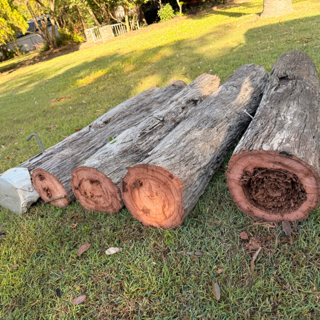 Sections of a replaced private power pole showing rotted, hollow centres